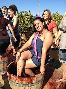 The Big Gay Grape Stomp and Harvest Party 2013 at Peju Winery. (Photo: Courtesy of Out in the Vineyard)