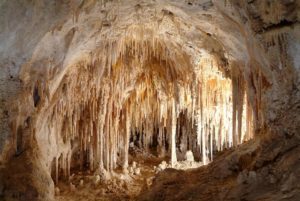 The Doll's Theater at the Carlsbad Caverns is home to a large collection of soda straw stalactites and columns. These formations are extremely small and extraordinarily fragile. (Photo: Courtesy of National Park Services)