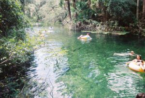 The languid beauty of Blue Spring State Park, 2,600 acres include a stretch of the St. Johns River and the namesake Blue Spring, is nearly intoxicating and only about a 45-minute drive north of Orlando. (Photo: Nicole Clausing)