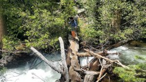 Madeline D. Miller, from Irving, Texas, crossed over a treacherous river of water on a fallen tree hiking the Pacific Crest Trail earlier this year. (Photo: Facebook/ Madeline D Miller)