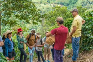 Medellin Coffee Farm Tour Colombia