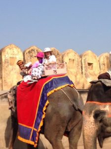 Guests of the Women’s Travel Group take an elephant ride in India.