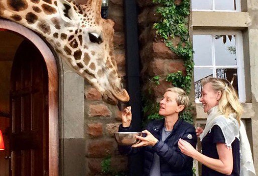 Ellen DeGeneres and wife Portia de Rossi feeding giraffes at the Giraffe Manor in Nairobi, Kenya