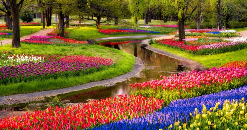 flower garden