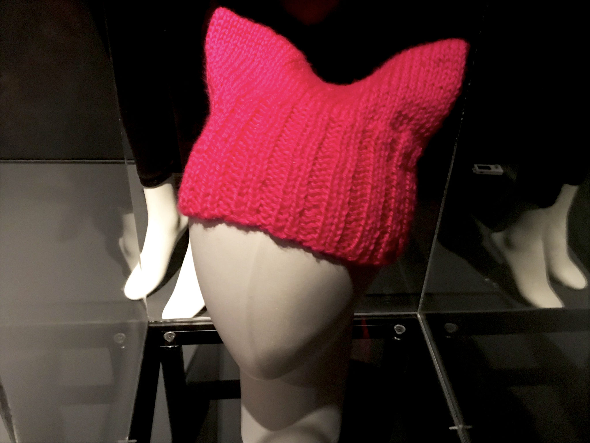 Pussy Hat "Pink: The History of a Punk, Pretty, Powerful Color" FIT
