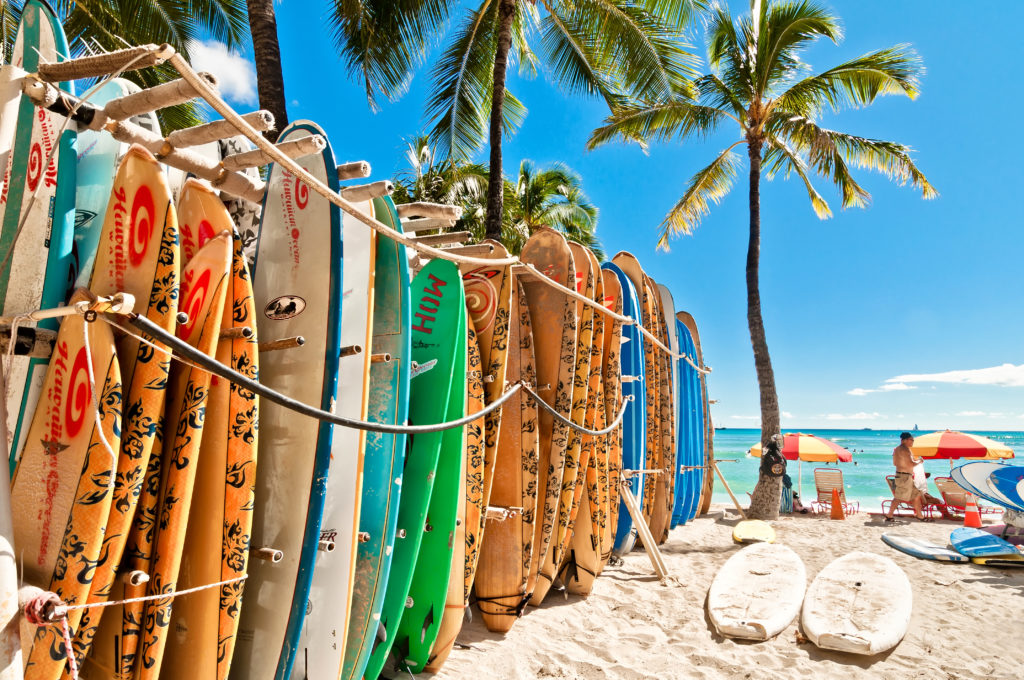 Waikiki Surf Boards