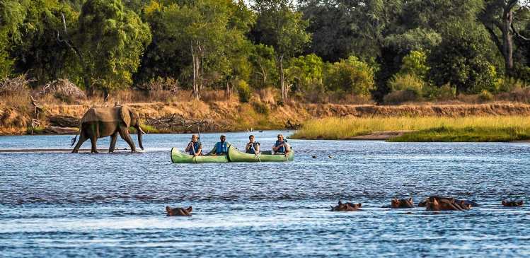 Tailormade Africa canoe safari